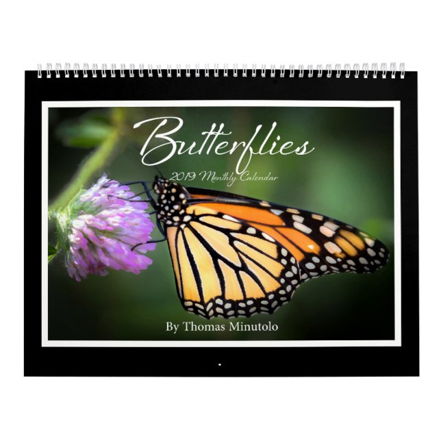 Calendrier mensuel des papillons 2019 par Tom (Protection)