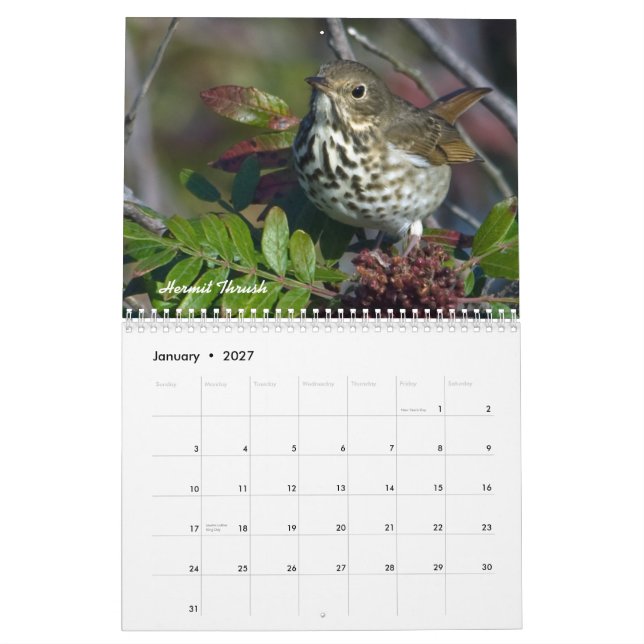 Calendrier mensuel d'oiseaux de jardin (Jan 2027)