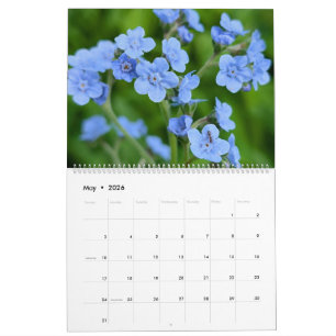 Calendrier Merveilles de Fleurs Sauvages – Une Année de Beaut