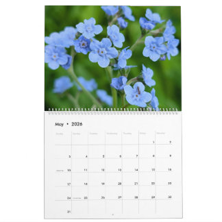 Calendrier Merveilles de Fleurs Sauvages – Une Année de Beaut