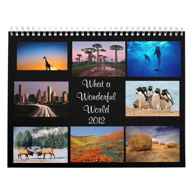 Calendrier merveilleux du monde 2012 (Protection)