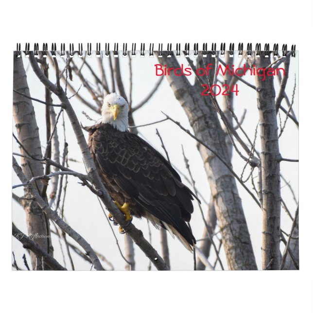 Calendrier Michigan Birds 2024 (Protection)