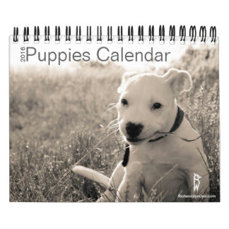 Calendrier mignon 2016 de chiots