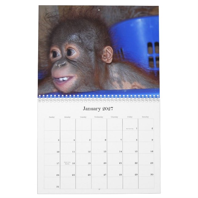 Calendrier mignon de bébés de faune de singes (Jan 2027)