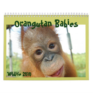 Calendrier mignon de bébés de faune de singes