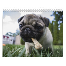 Calendrier mignon de chiens de carlins -