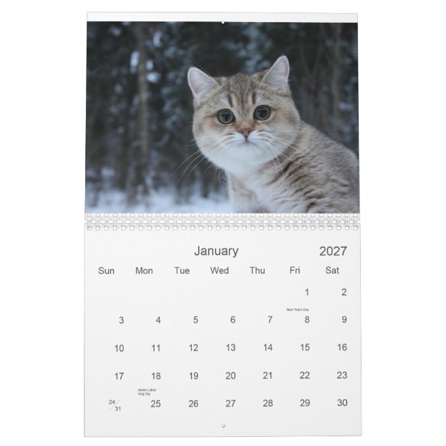 Calendrier mignon des chatons 2012 (Jan 2027)