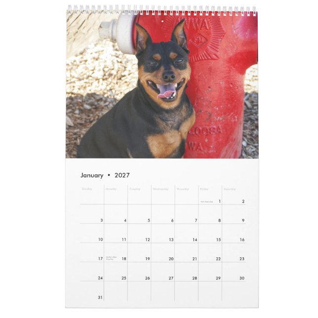 Calendrier Miniature Pinscher One (Jan 2027)