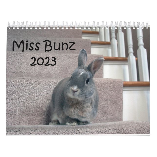 Calendrier Miss Bunz 2023 (Protection)