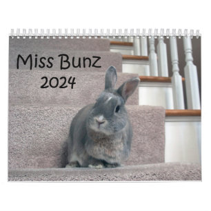 Calendrier Miss Bunz 2024