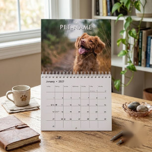 Calendrier Modèle de photo personnalisé pour animal de compag