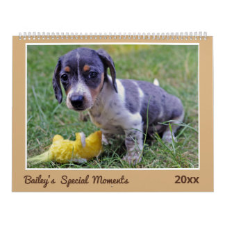 Calendrier Modern Cute Dachshund Custom Pet Photos 