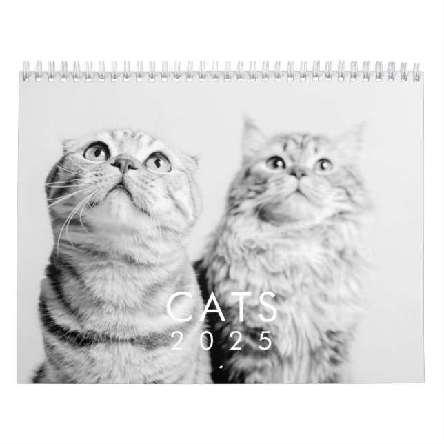 Calendrier Moderne Cute Funny Animal Kitten Chat Photos (Protection)