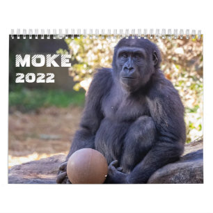 Calendrier Moke 2022
