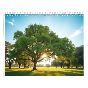 Calendrier Moment de calme avec un grand arbre