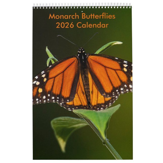 Calendrier Monarch Butterflies sur une page (Protection)
