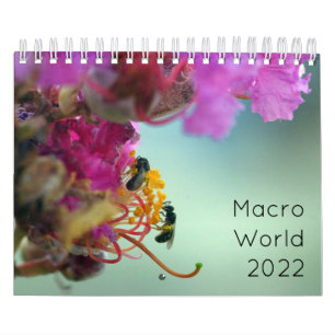 Calendrier Monde macro 2022