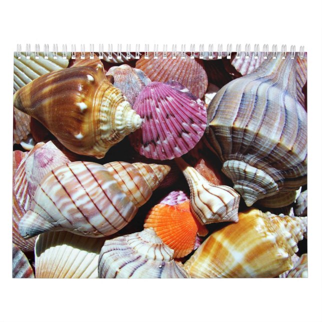 Calendrier Motif Coastal Ocean Sea Shell (Protection)