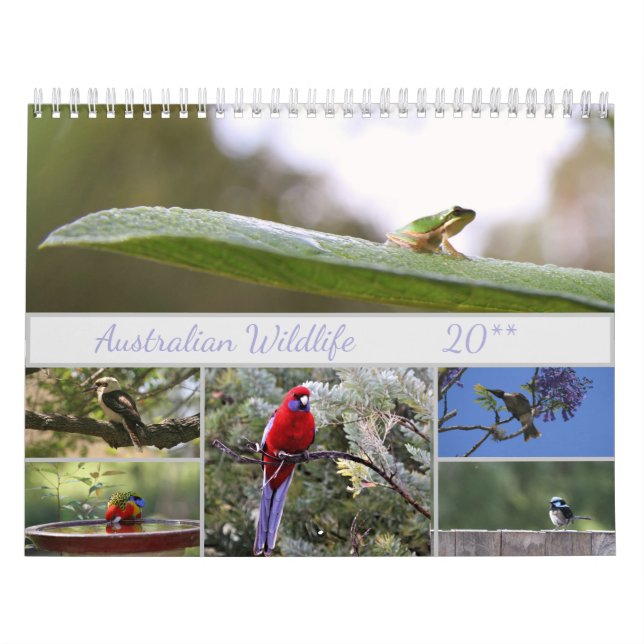 Calendrier Motivation de la photographie de la faune australi (Protection)