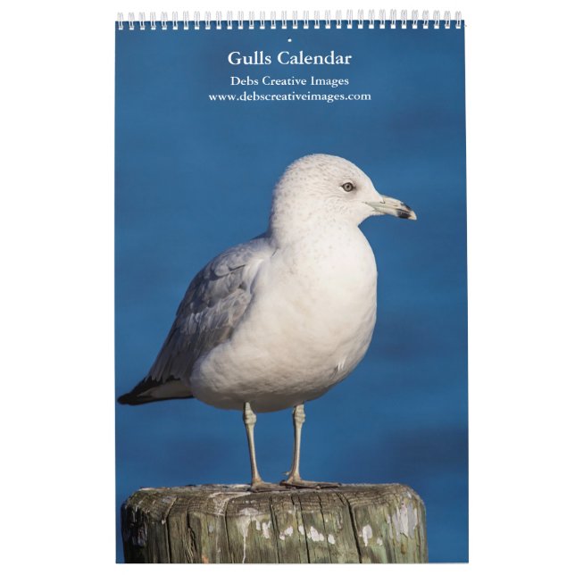 Calendrier Mouettes 2026 (Protection)