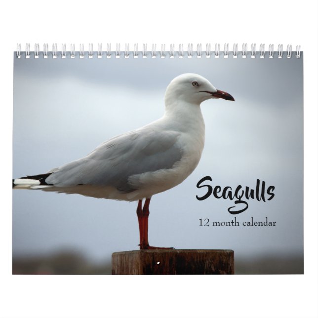 Calendrier Mouettes 2027 (Protection)