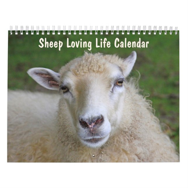 Calendrier Mouton Aimer la vie (Protection)