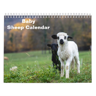 Calendrier Mouton bébé 2026