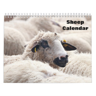 Calendrier moutons 2027