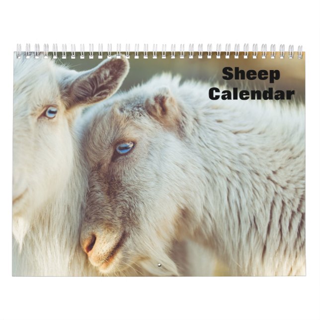 Calendrier moutons 2027 (Protection)