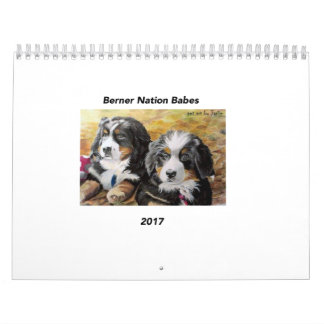 Calendrier moyen des bébés 2017 de nation de