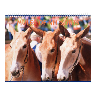 CALENDRIER MULES DE MULES DE MULES