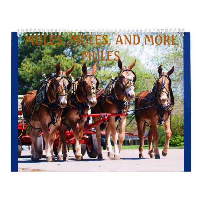 CALENDRIER MULES, MULES, MULES (Protection)