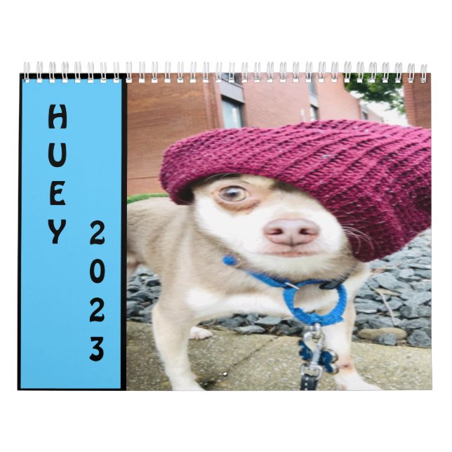 Calendrier Mur Huey 2023 (Protection)