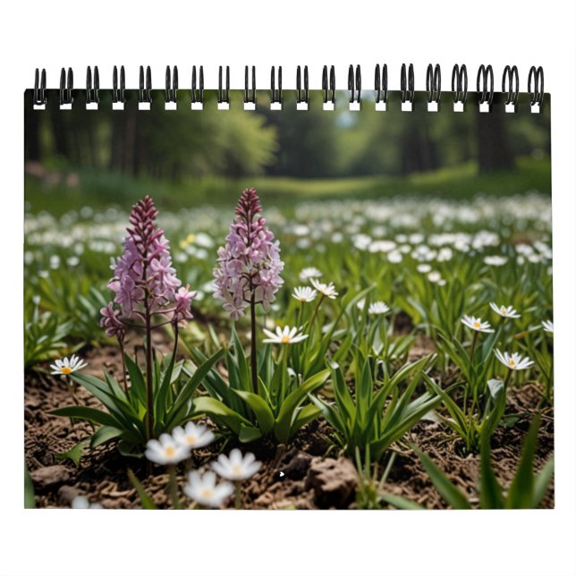 Calendrier Mur Pittoresque 2025 (Protection)