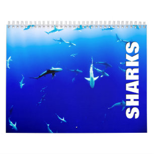 Calendrier mur requins