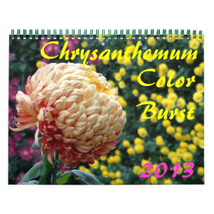 Calendrier Mural 0 2013 Chrysanthemum Color Burst