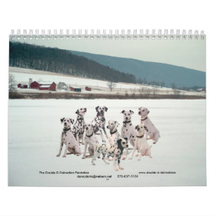 Calendrier Mural 11-2008_02, le double Dalmate de D… - Customisé