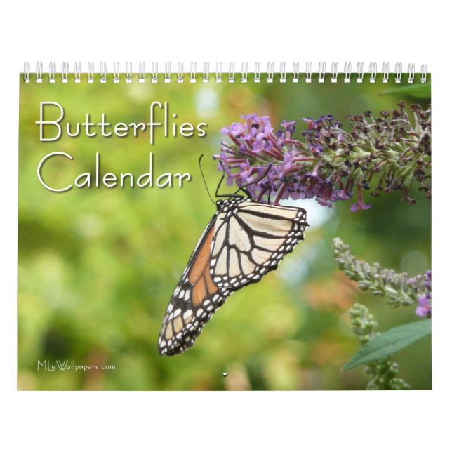 Calendrier Mural 12 mois de beaux papillons (Protection)