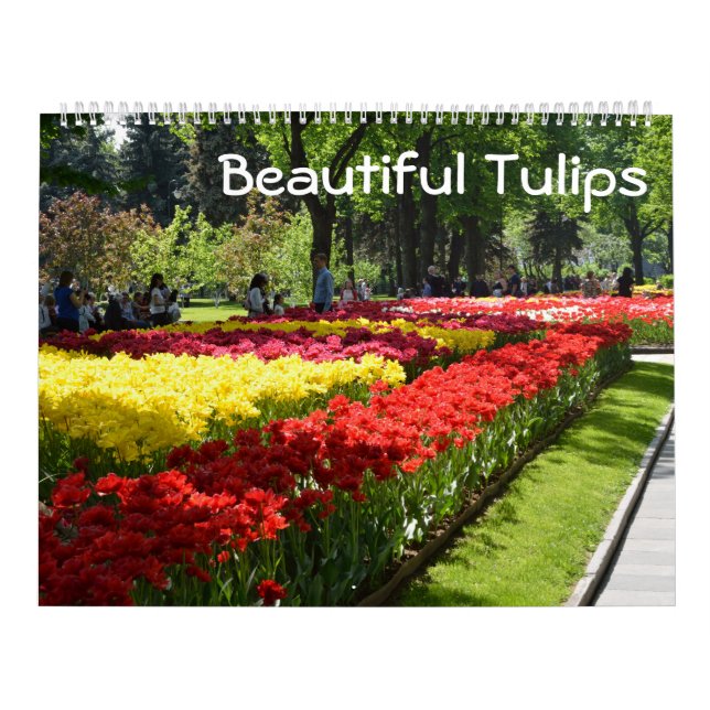 Calendrier Mural 12 mois de belles tulipes (Protection)