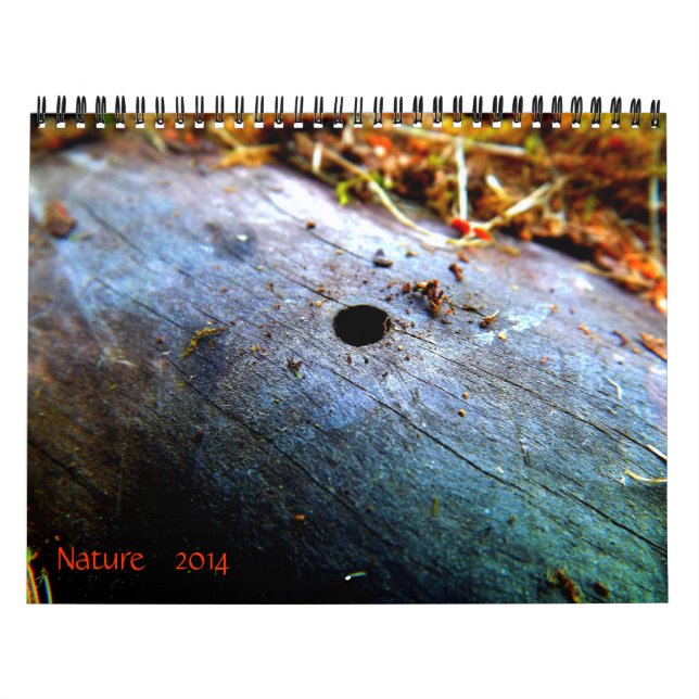 Calendrier Mural 12 mois de nature (Protection)