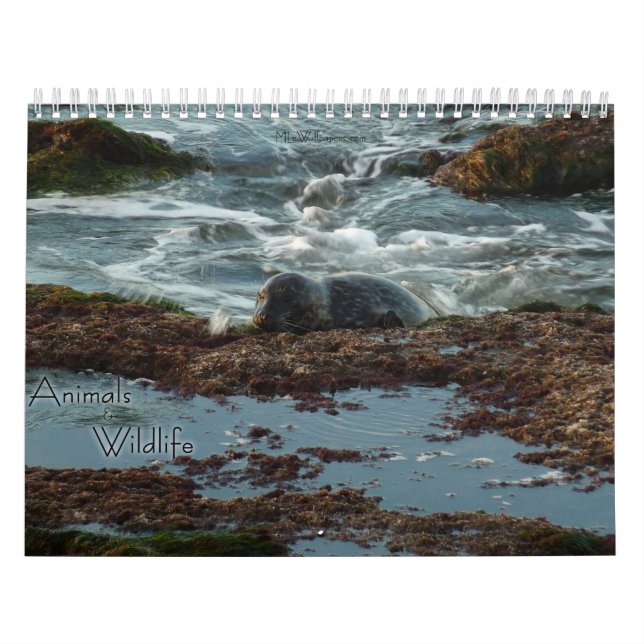 Calendrier Mural 12 Mois de Photographie d'Animaux et de Faune (Protection)