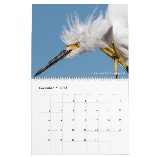 Calendrier Mural 12 oiseaux pour la photographie 2018 d'épine de (Dec 2026)