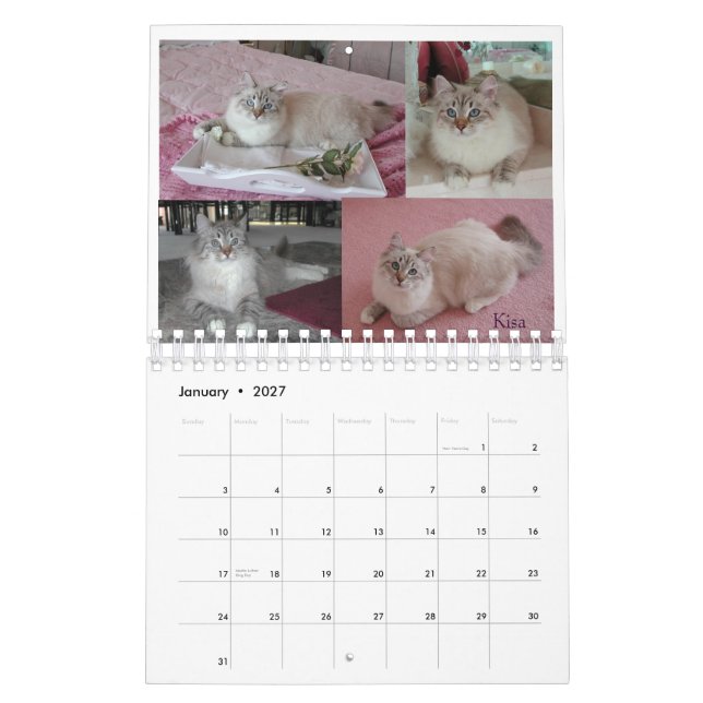 Calendrier Mural 2008 SM sibérien des chats Calendar2 (Jan 2027)