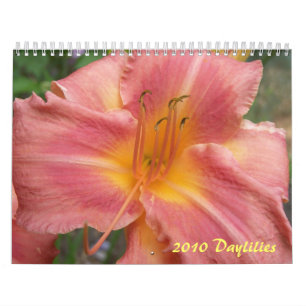 Calendrier Mural 2010 Daylilies