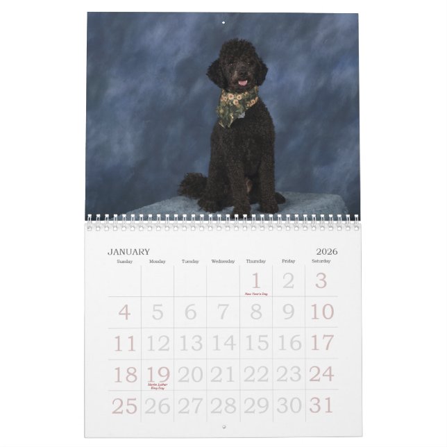 CALENDRIER MURAL 2011 (Jan 2026)