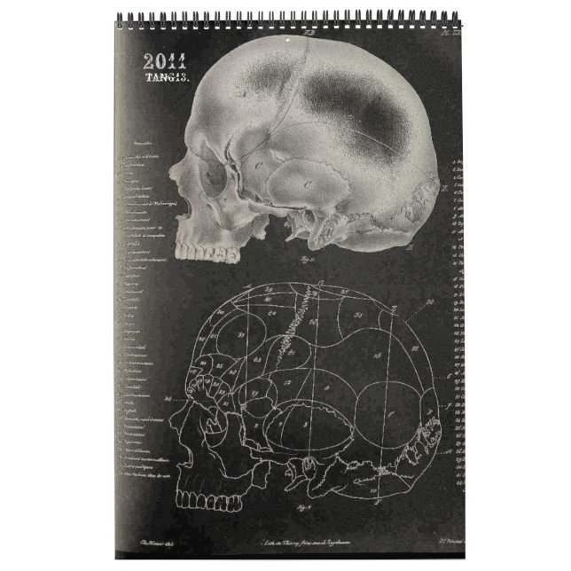 Calendrier Mural 2011 SKULL/SKELETON/ANATOMY - Tang13. (Protection)