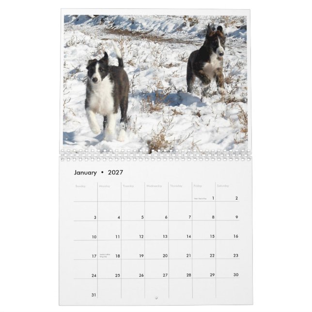 Calendrier Mural 2012 chiots de soie 2 de Windhounds (Jan 2027)