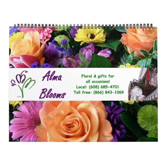 CALENDRIER MURAL 2013 (Protection)