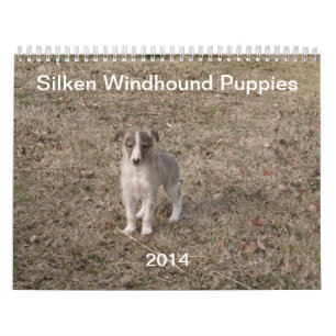 Calendrier Mural 2014 chiots de soie de Windhound 1-2