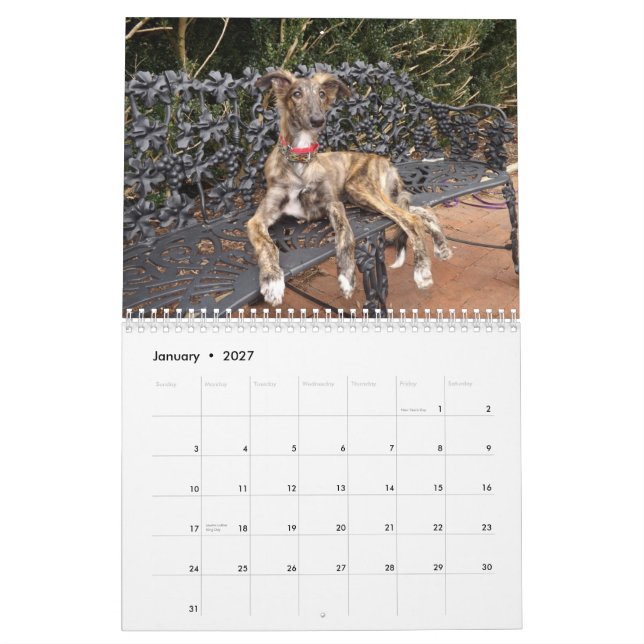 Calendrier Mural 2014 chiots de soie de Windhound 2-4 (Jan 2027)